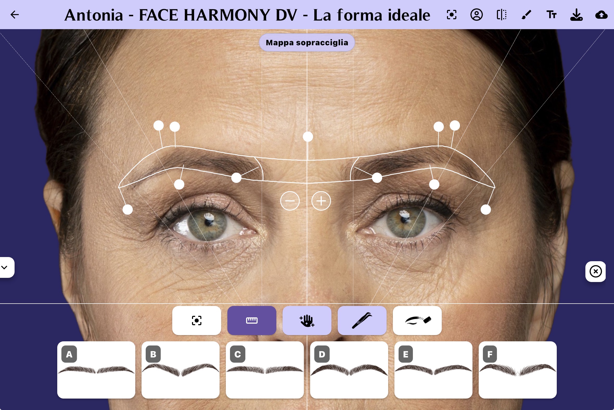 Dettaglio della simulazione sopracciglia Face Harmony DV, con mappa e disegno della forma